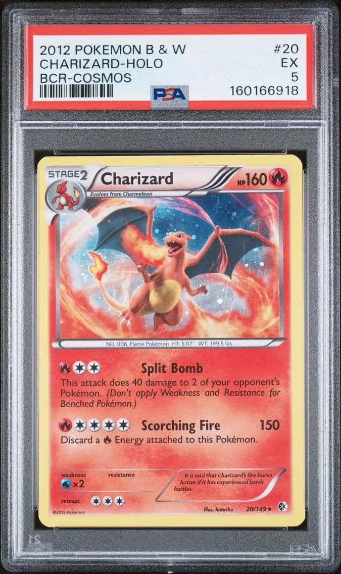 Charizard-Holo, Black & White Boundaries Crossed, PSA 5