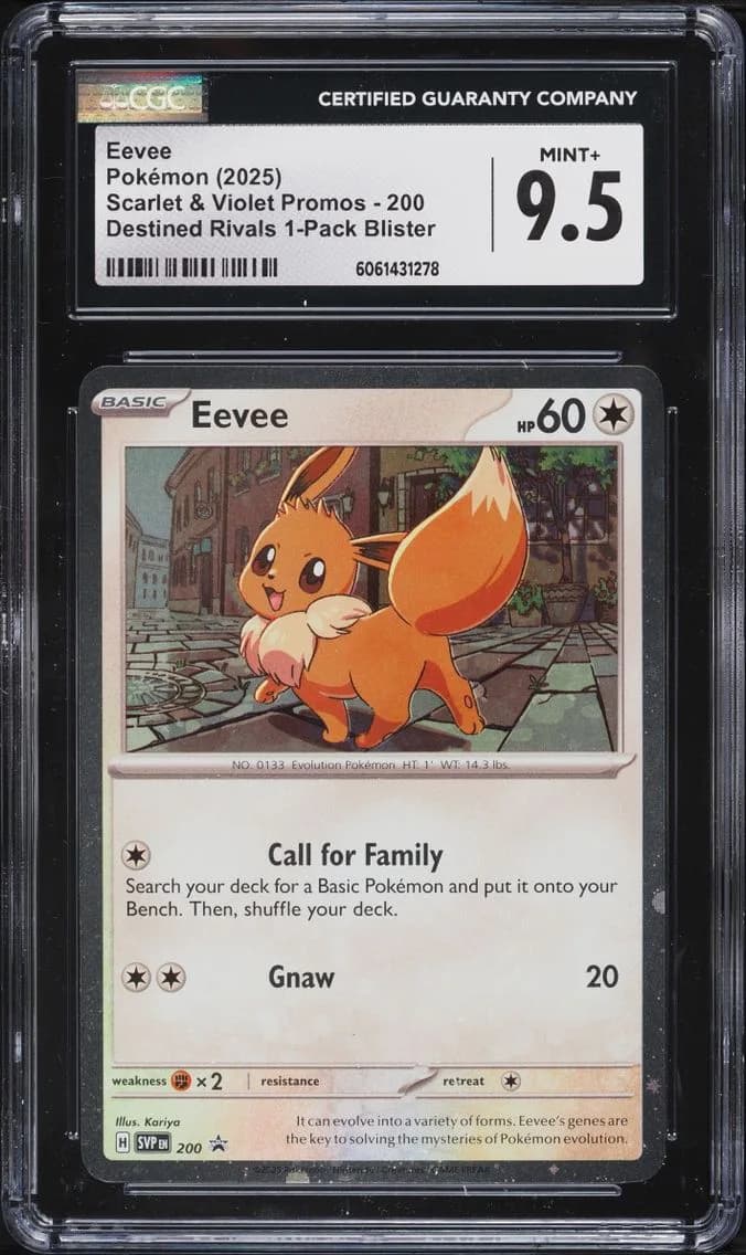 Rivals Eevee, Black Star Promos - Scarlet & Violet SVP EN, CGC 9.5