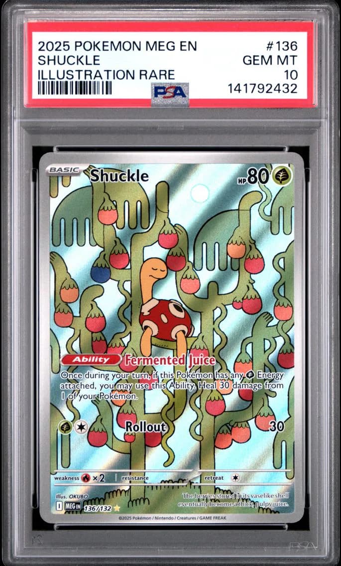 Shuckle, Mega Evolution, PSA 10