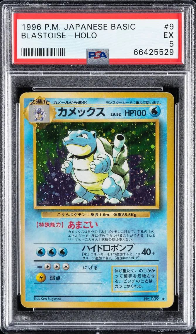 Blastoise-Holo, Japanese Basic, PSA 5