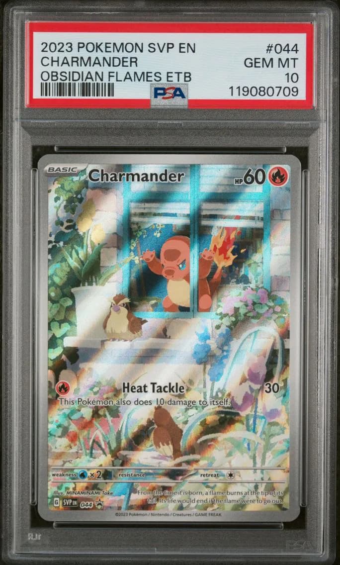 Charmander, SV Black Star Promo, PSA 10
