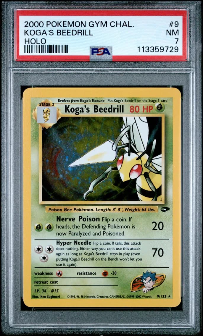Koga's Beedrill, Gym Challenge, PSA 7