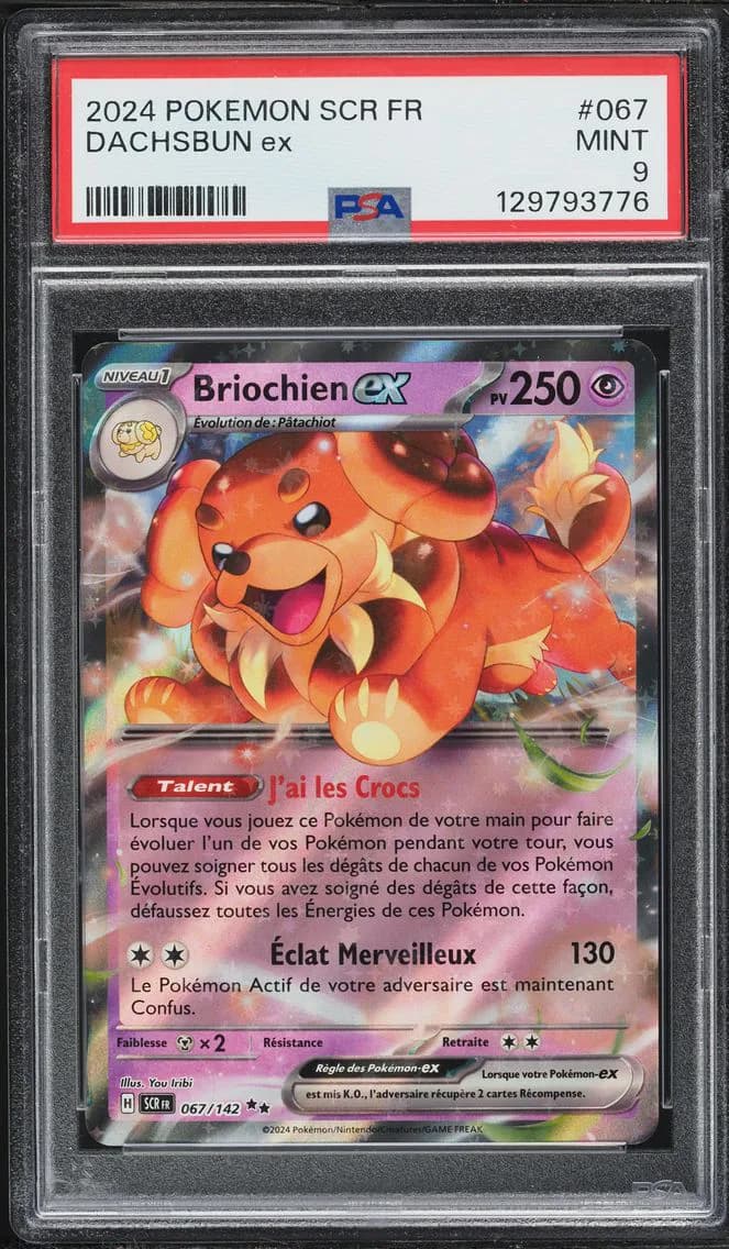 Dachsbun EX, French Scr FR-Stellar Crown, PSA 9