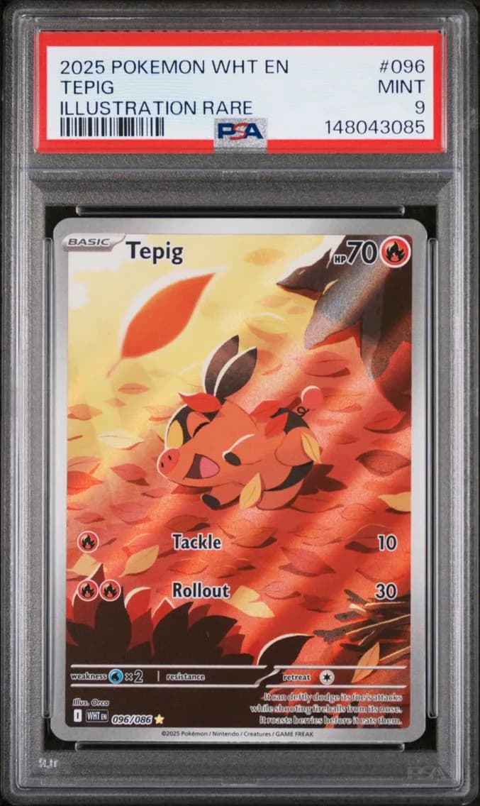 Tepig, White Flare, PSA 9