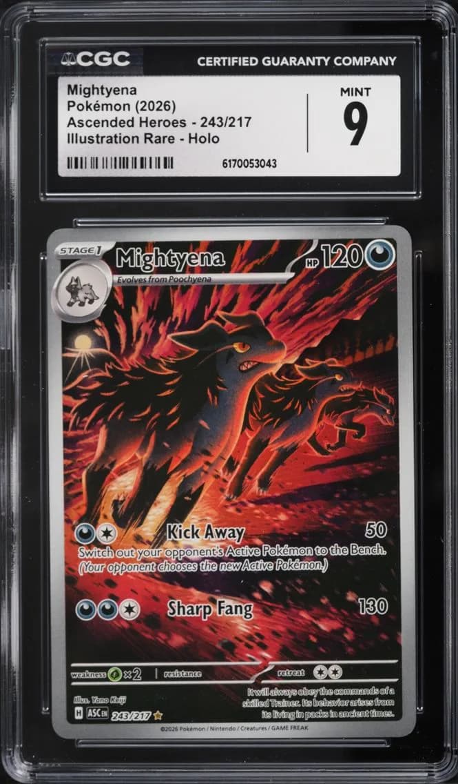 Mightyena, Ascended Heroes, CGC 9