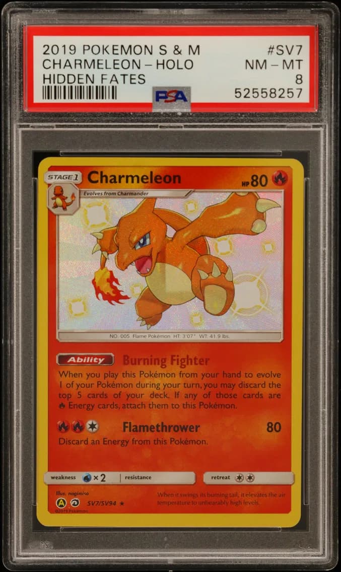 Charmeleon-Holo, Sun & Moon Hidden Fates, PSA 8