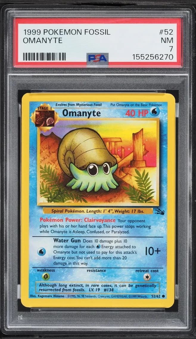 Fossil Omanyte NRMT, Fossil, PSA 7