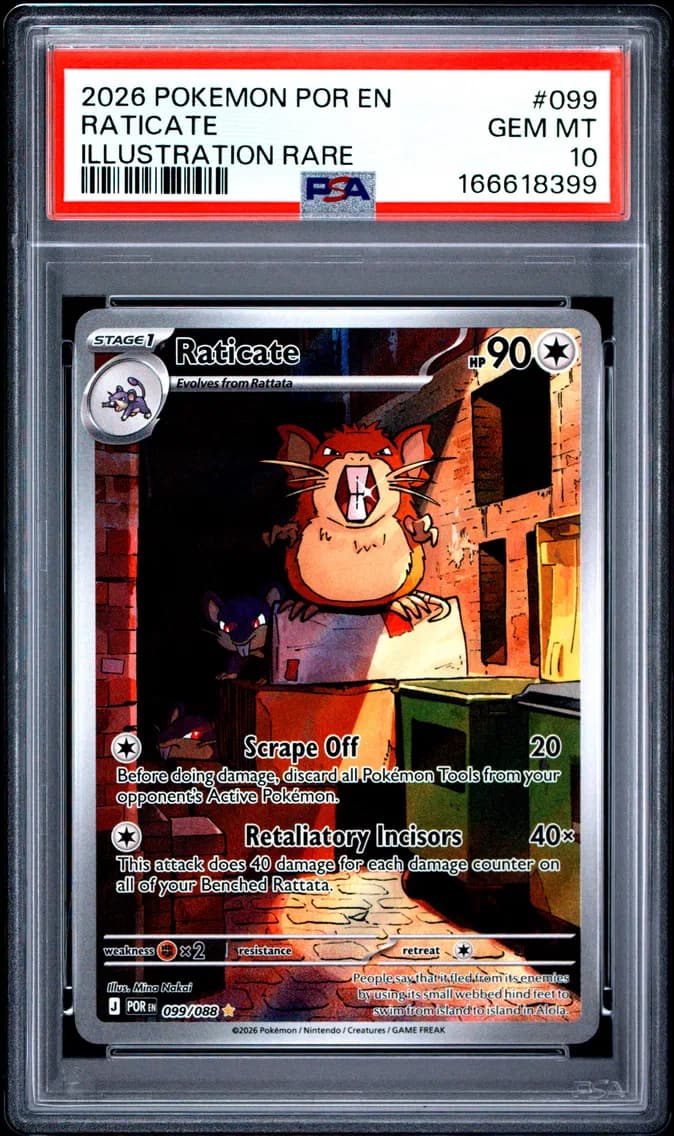 Raticate, Perfect Order, PSA 10
