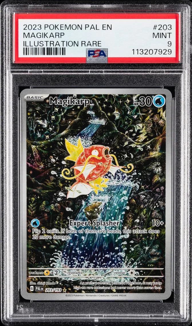 Magikarp, Paldea Evolved, PSA 9