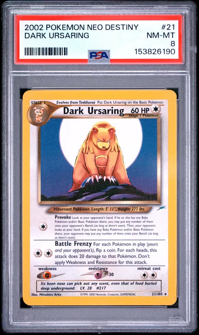 Dark Ursaring, Neo Destiny, PSA 8