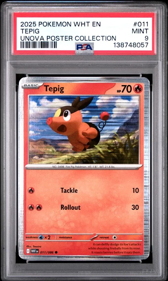 Tepig, White Flare, PSA 9