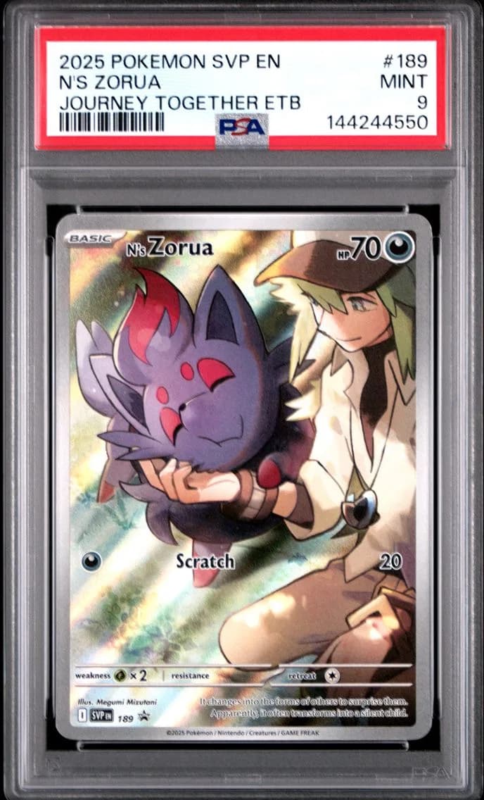 N's Zorua, SV Black Star Promo, PSA 9