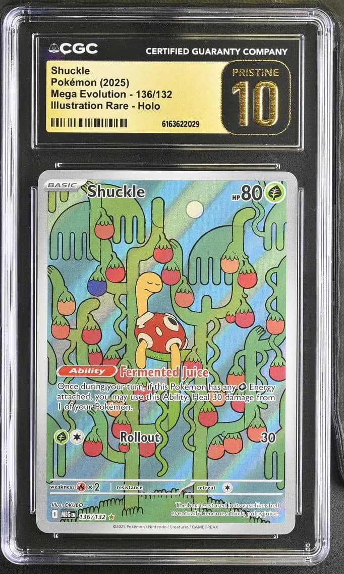Shuckle, Mega Evolution, CGC 10