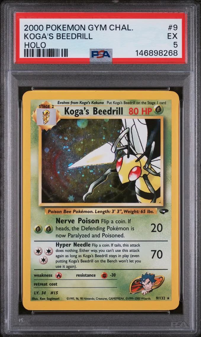 Koga's Beedrill, Gym Challenge, PSA 5