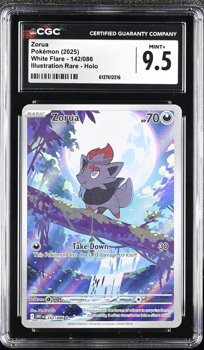 Zorua, White Flare, CGC 9.5