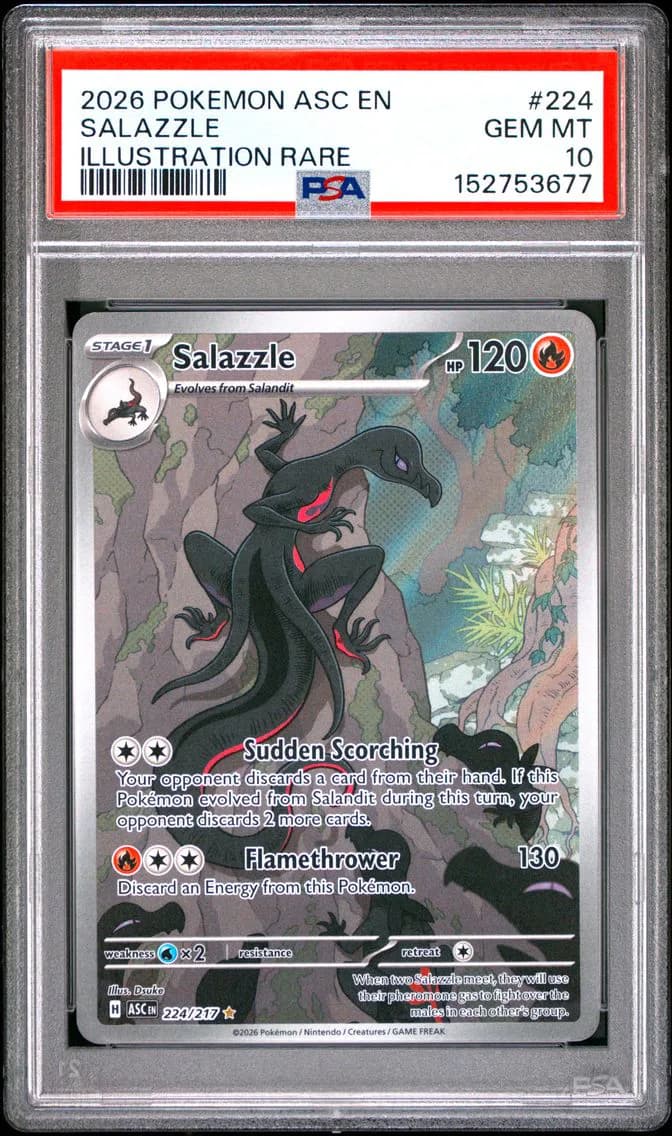 Salazzle, Ascended Heroes, PSA 10