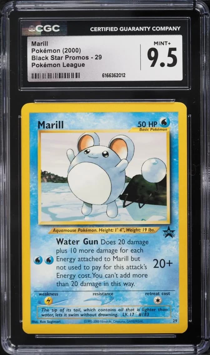Promo Marill, Black Star Promos - WotC, CGC 9.5
