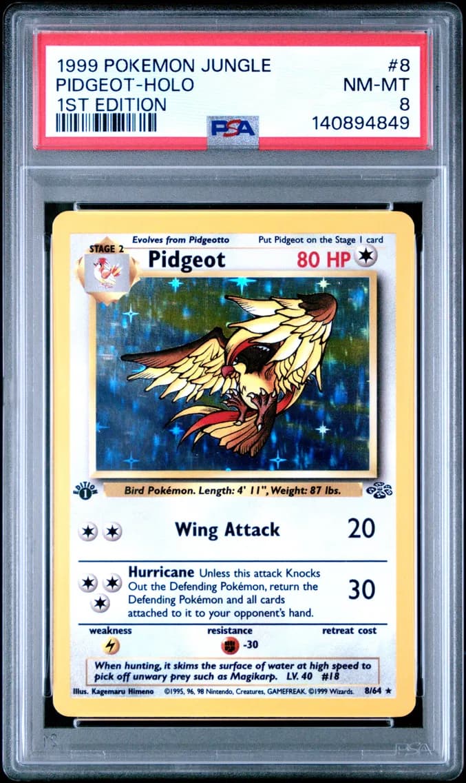 Pidgeot-Holo 1st Edition, Jungle, PSA 8