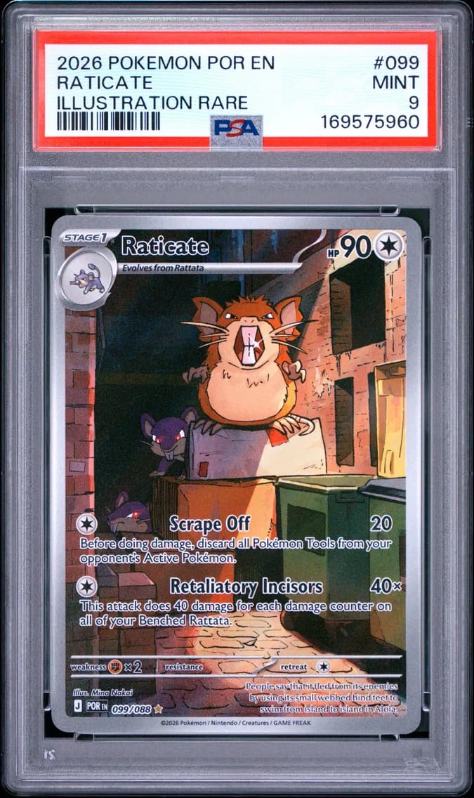 Raticate, Perfect Order, PSA 9