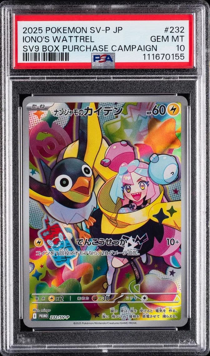 Iono's Wattrel, Japanese SV-P Promo, PSA 10