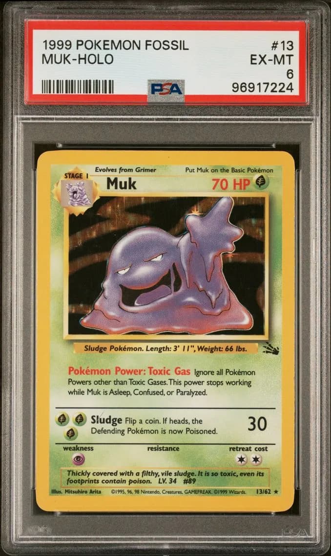 Muk-Holo, Fossil, PSA 6