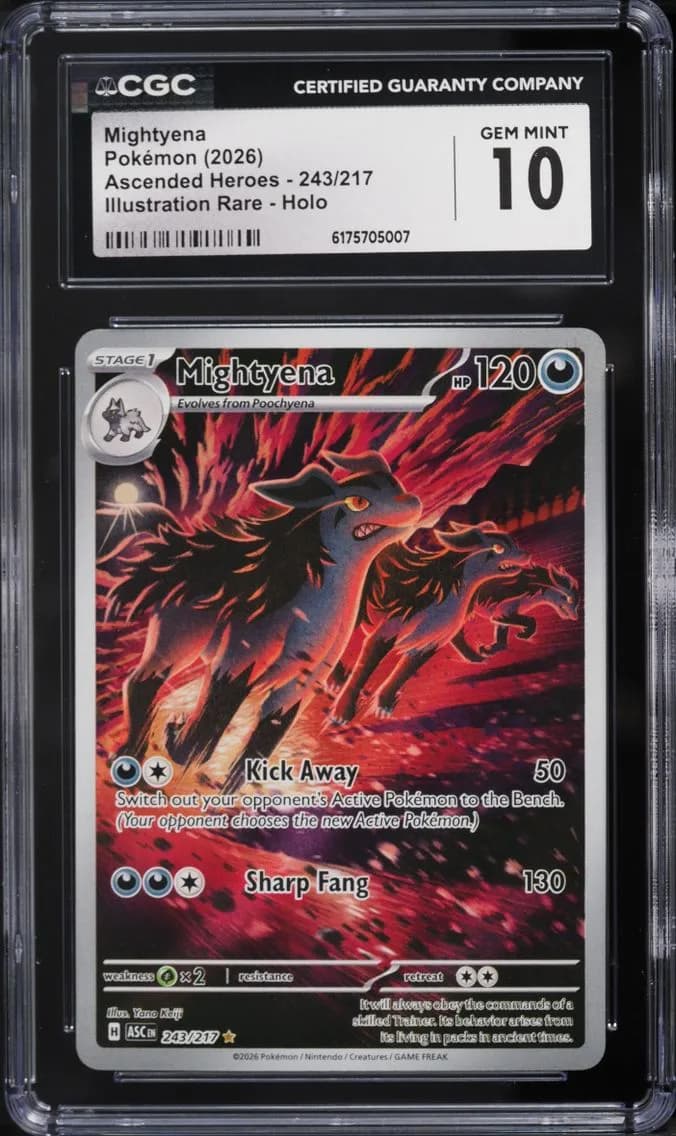 IR Mightyena, Ascended Heroes, CGC 10