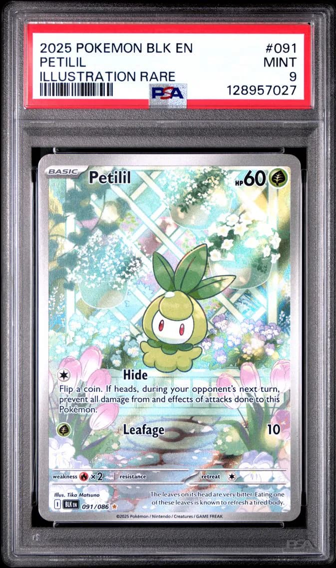 Petilil, Black Bolt, PSA 9