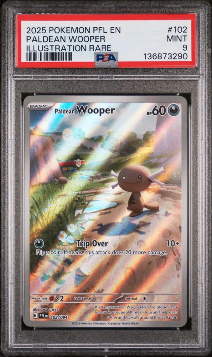 Paldean Wooper, Phantasmal Flames, PSA 9