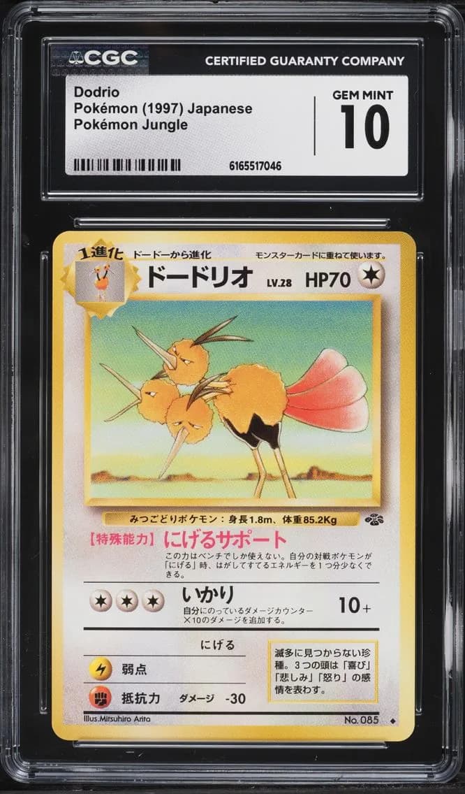 Jungle Dodrio, Pokémon Jungle - Japanese, CGC 10